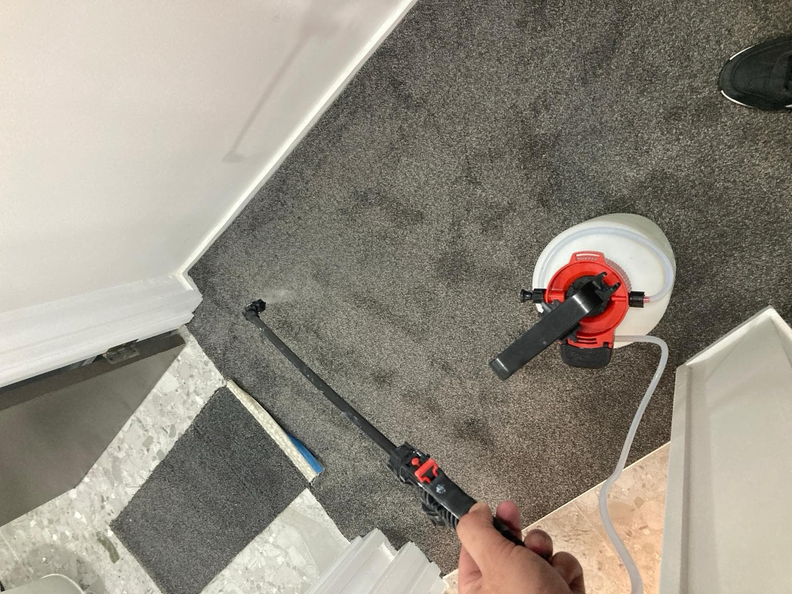 Flood restoration Auckland