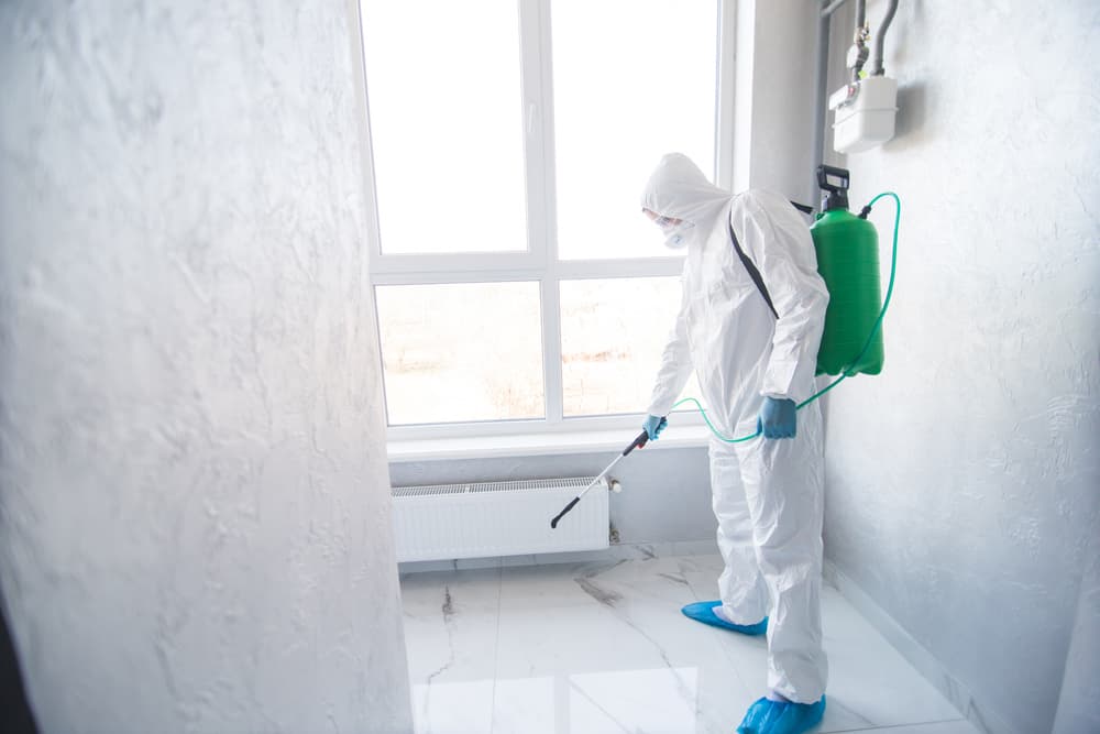 Mould Restoration