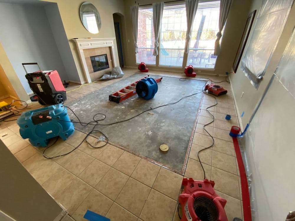 Flood damage restoration Central Auckland