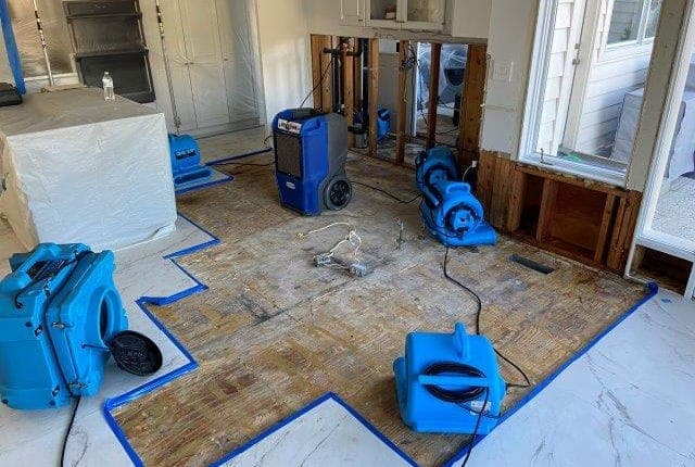 Flood damage restoration East Auckland